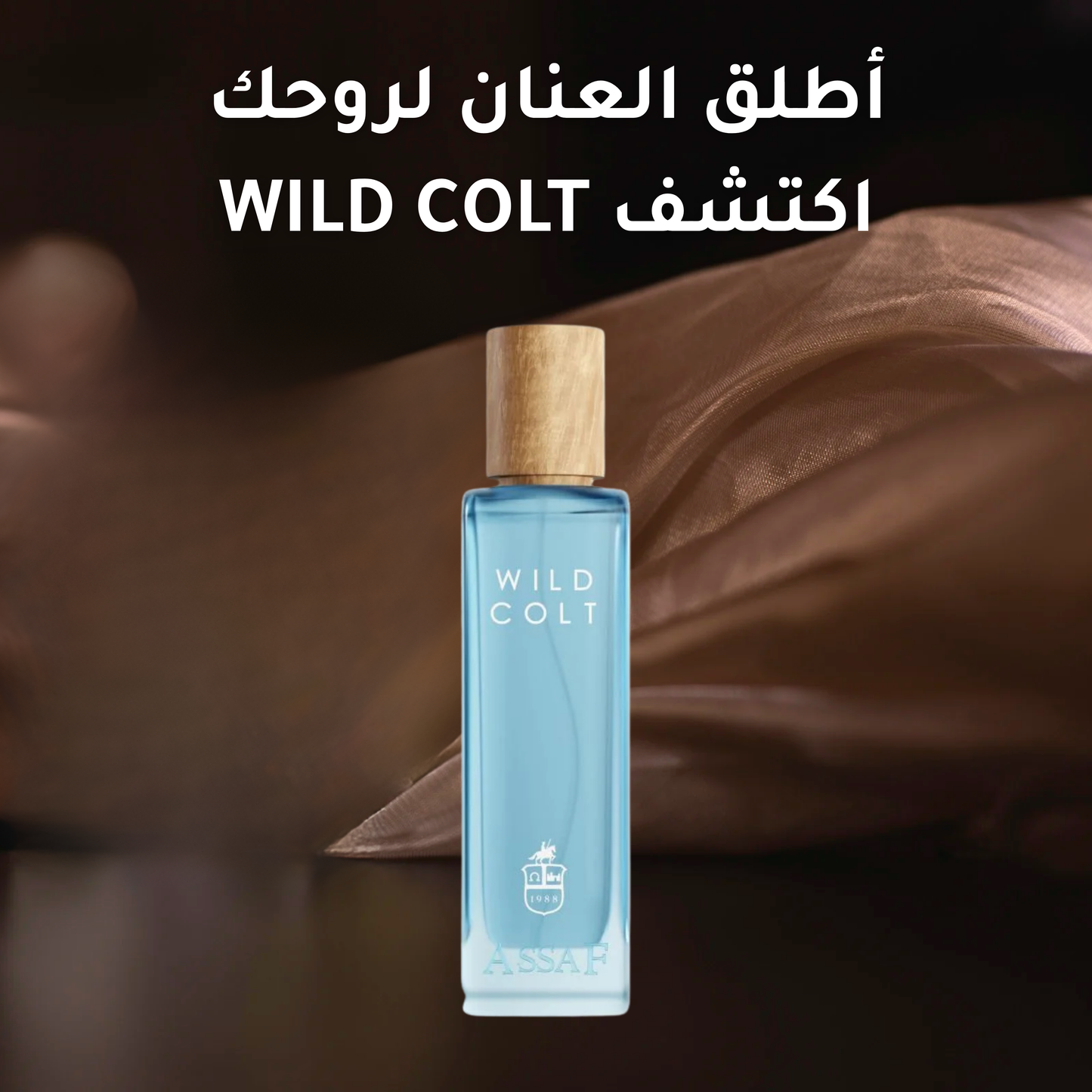 ASSAF من WILD COLT  عطر
